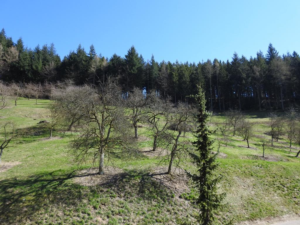 Berggasthaus Wandersruh Apartment Lautenbach Exterior photo