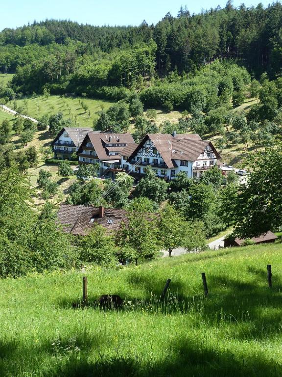 Berggasthaus Wandersruh Apartment Lautenbach Exterior photo