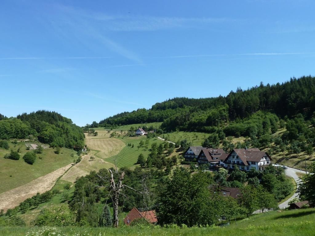 Berggasthaus Wandersruh Apartment Lautenbach Exterior photo